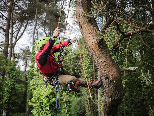 zip-lining-fun-outdoors-summer-activity