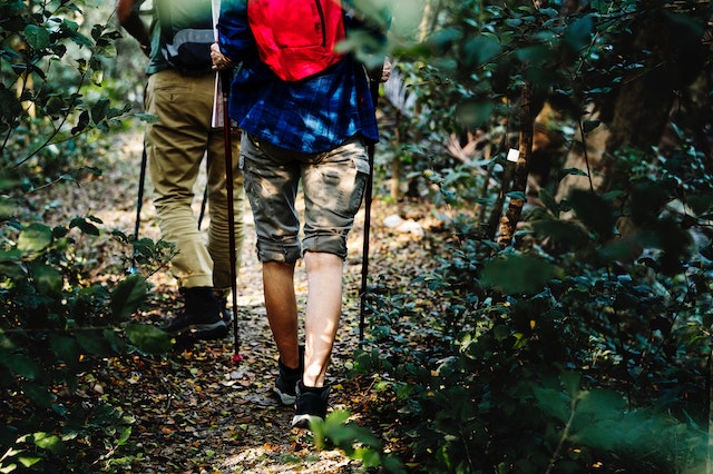 hike-adventure-friends-nature-beautiful-summer