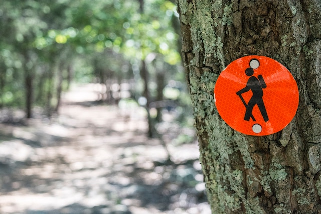 hike-sign-nature-beauty-trees-environment