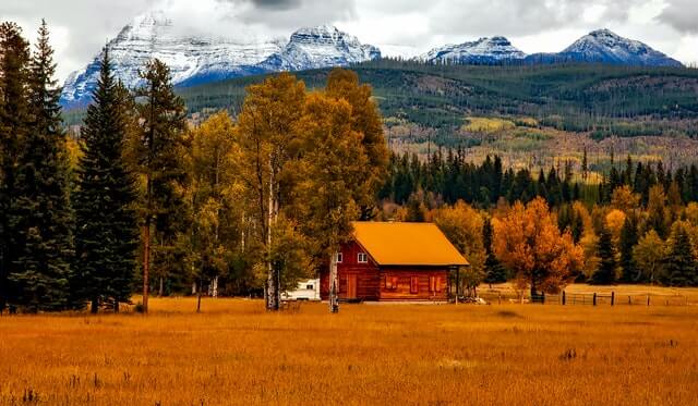 fall leaves and mountains