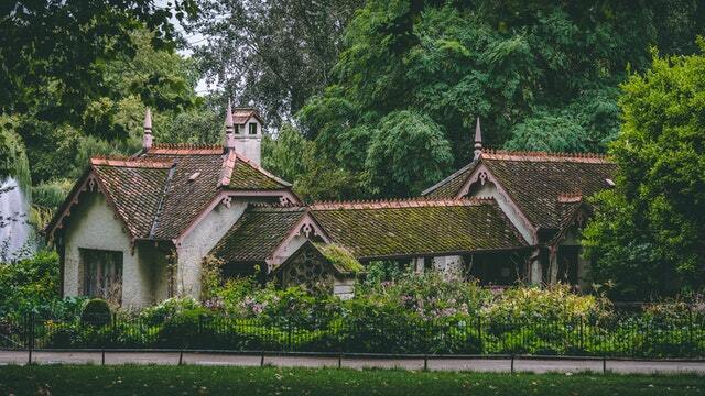 moss and algae roof