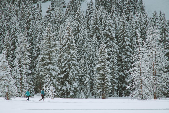 Frisco, CO snowshoe