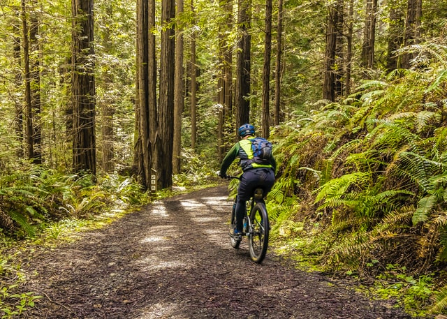 Summit County mountain biking