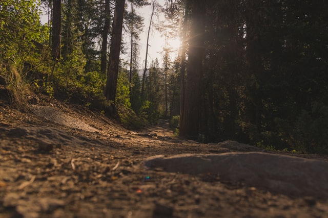 Breckenridge historical hikes