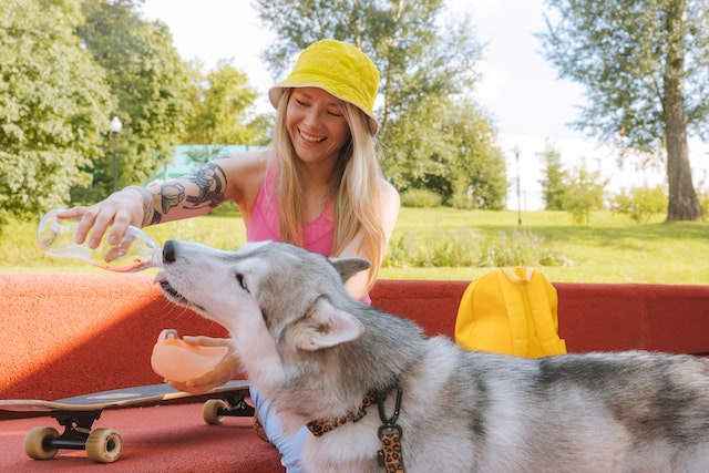 person in yellow hat giving husky dog water