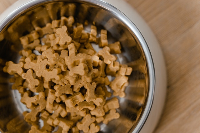 dog food in the shape on little bones in a silver bowl